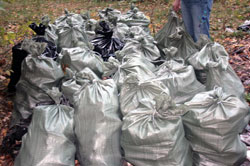 Собранные мешки с мусором для вывоза
